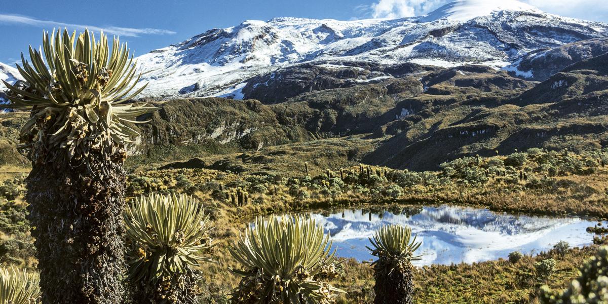 Caracterización de paisajes marca el rumbo del proyecto Paisajes Productivos y Sostenibles en Colombia