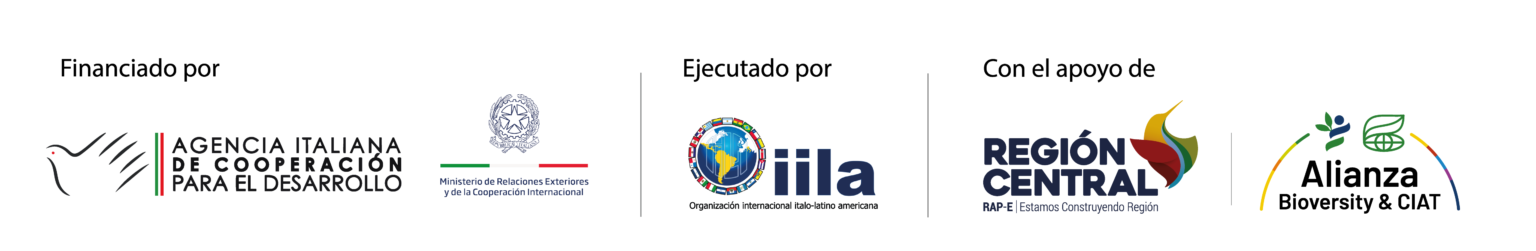 Entidades aliadas
