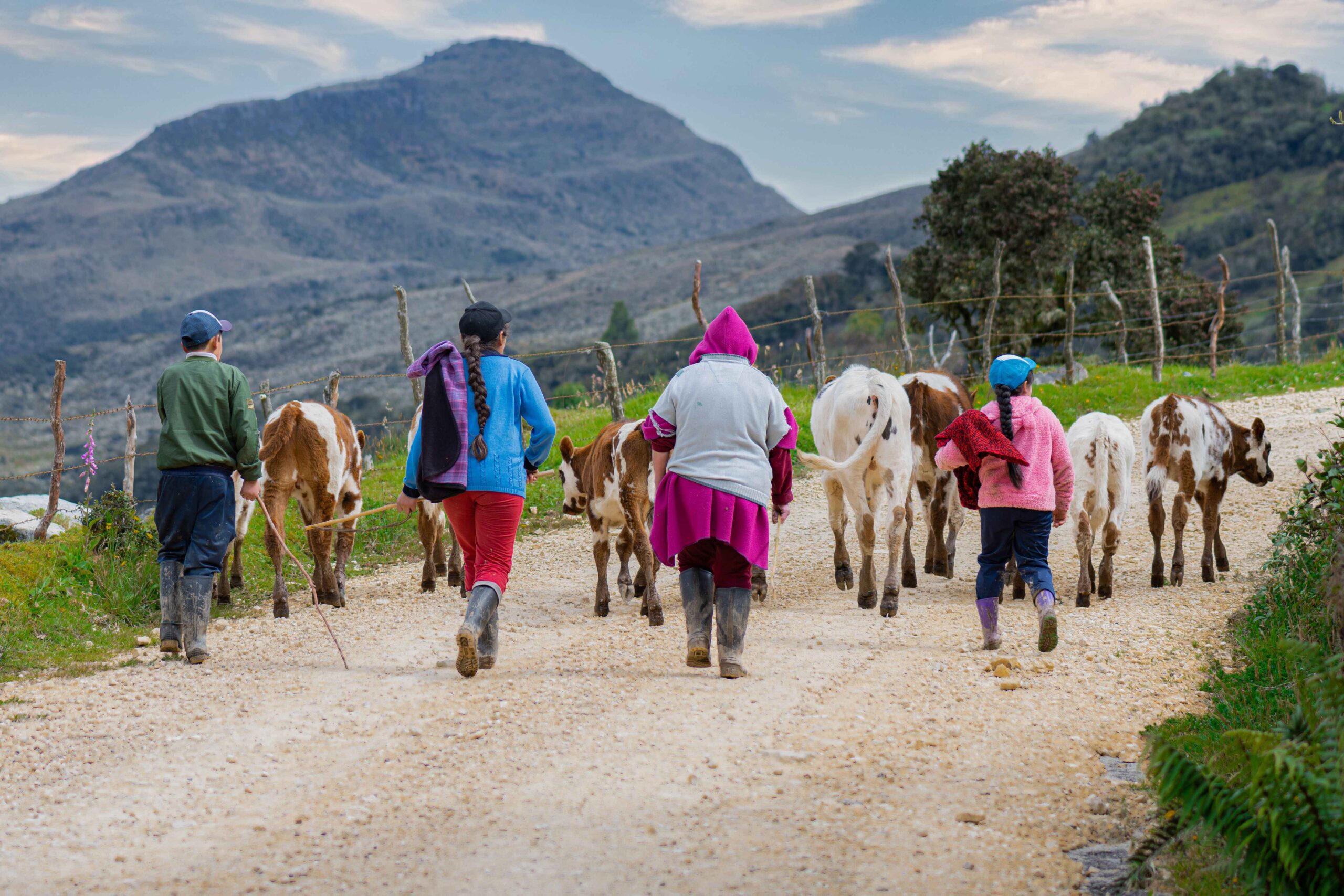 Niños en camino rural con ganado