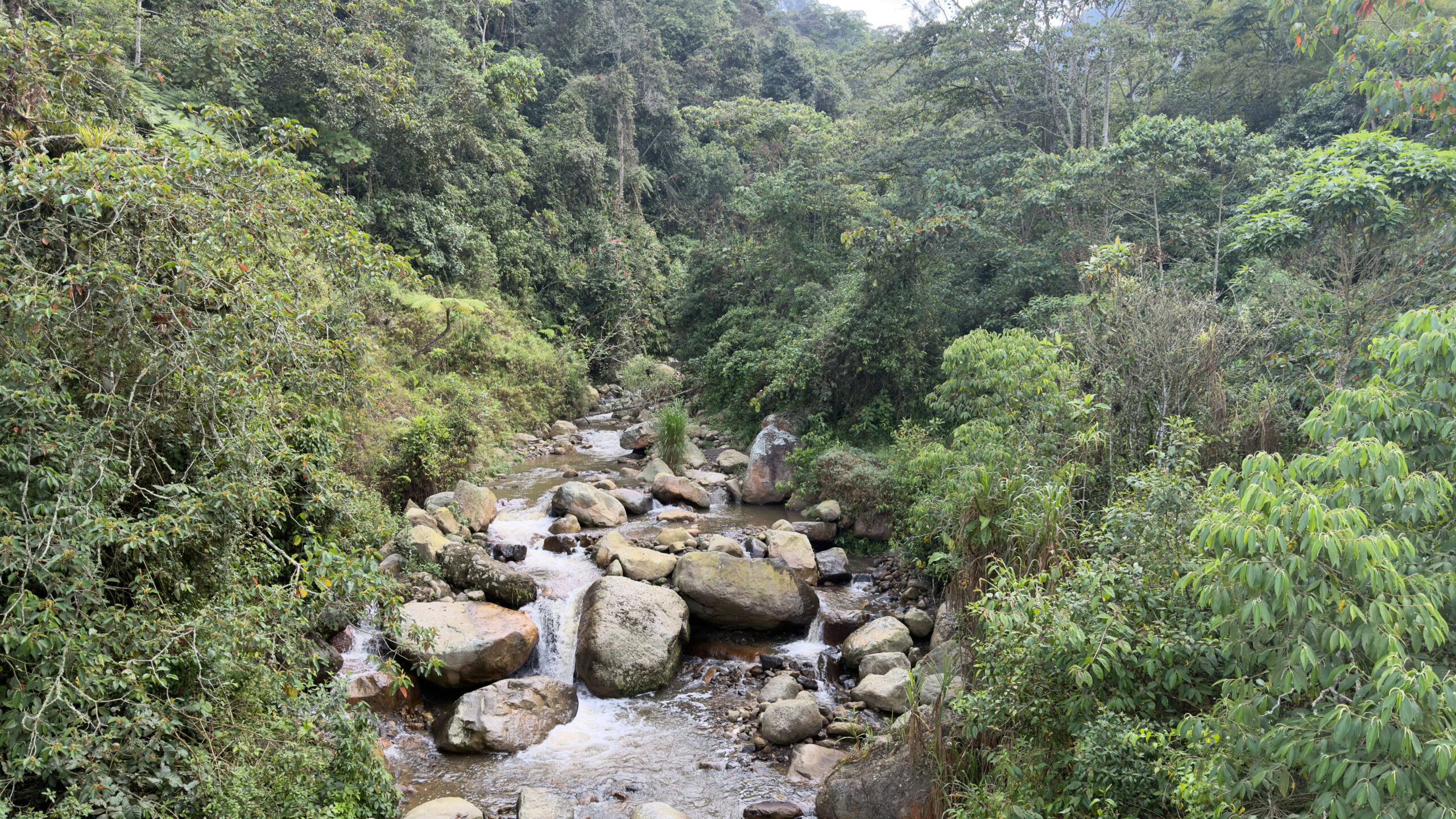 Sostenibilidad ambiental